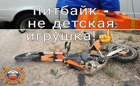 photo 13 08 2025 01